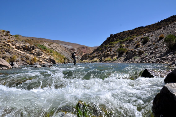 Pescando con indicador aguas arriba Orvis Mendoza Fly Shop